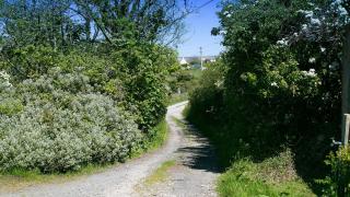 Glan Gors Felin - Llanrhyddlad - 6