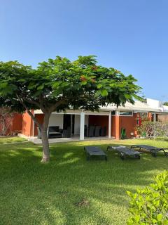 Bungalow Los Melocotones in Maspalomas - Playa del Ingles - San Fernando - 0