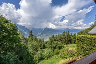 Chalet La Vue, pet friendly 10 pers, amazing view - Nendaz - 1