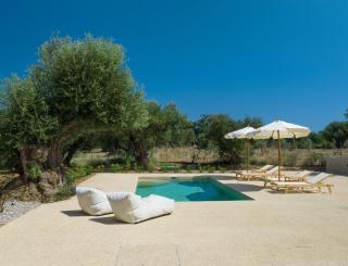 Terra Oleana Cottages - Vasilikos - 8