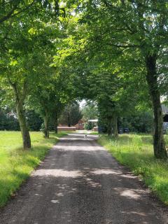 Afbeelding van de locatie