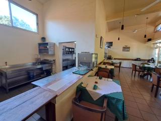 Moshi Leopard Hotel - 1