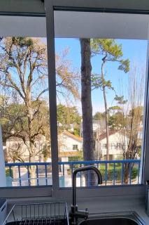 Océan bleu - Studio bord de plage - 8