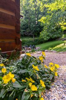 MountainTime - Vilas - 8