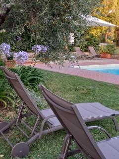 Agriturismo Poderino - Cinigiano - 6