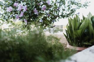 CASALMARE - 9