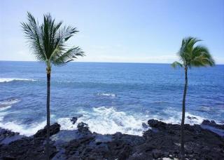 Kona Reef D37 - Kailua-Kona - 7