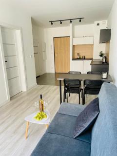 Glamour Apartment - Danzig - 7