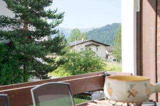 Central flat for 6 persons Pianura Crapera Lenzerheide - Lenzerheide - 8