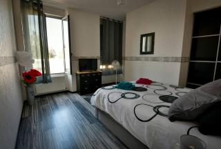 Grand appartement de haut standing en centre-ville - 2
