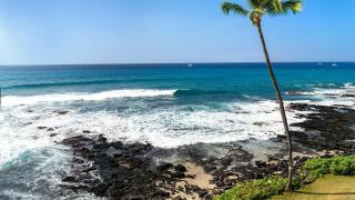 Kona Reef A32 - Kailua-Kona - 3
