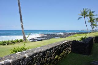 Kona Reef A6 - Kailua-Kona - 7