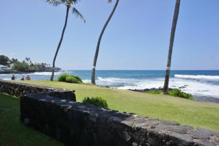 Kona Reef A6 - Kailua-Kona - 6