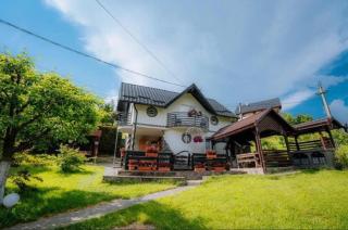 Casa Munții Rodnei - Borşa - 2