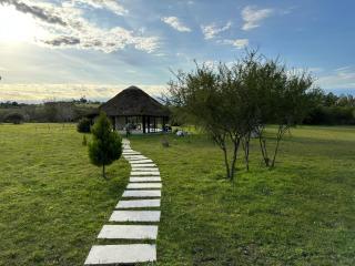 Chacra La Recompensa Glamtainer - Paysandú - 3