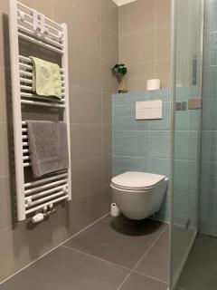 Apartmán Šantova - Olomouc - 1