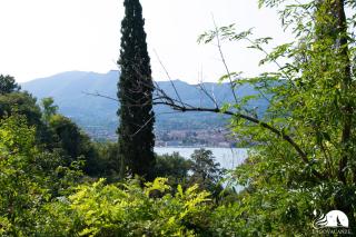 La Colomba - San Felice del Benaco - 9