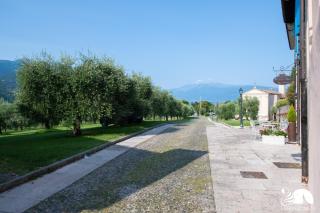 La Colomba - San Felice del Benaco - 7