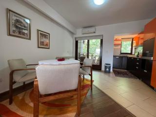 Apartman Alifakovac Sarajevo - Sarajevo - 4