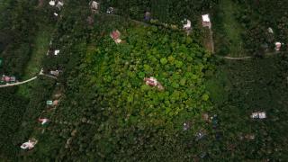 the motville - Private Villa with Pool for Family Groups - 9