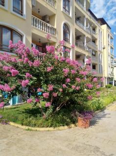 Апартхотел Роял Дриймс - 3