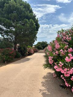 Cala Rossa, Lecci - villa 5 minutes de la très belle plage de Cala Rossa - Lecci - 1
