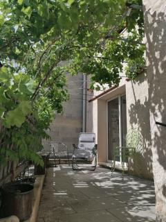 La maison de la vigne - 7