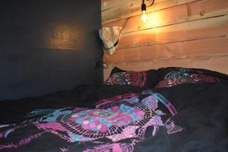 La cabane aux écureuils - Philippeville - 2