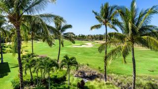 Waikoloa Beach Villas N32 - 3