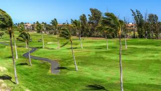 Fairway Villas Waikoloa F31 - Waikoloa - 9