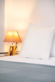 Petrina Volia - Residence Anemos - Andros - 6