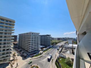 Ray of Sunshine - Mamaia - 2
