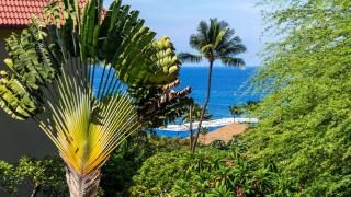 Kona Pacific C520 - Kailua-Kona - 4