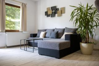 Apartmani Vukman - Delnice - 7