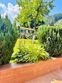 Villa Rila Garden - Beli Iskar - 4