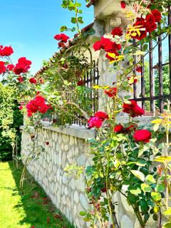 Villa Rila Garden - Beli Iskar - 3