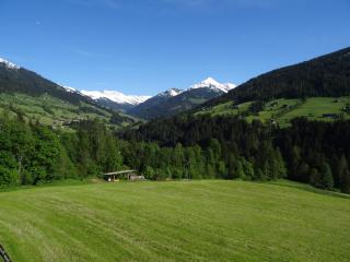 Gästehaus Larch - Alpbach - 8