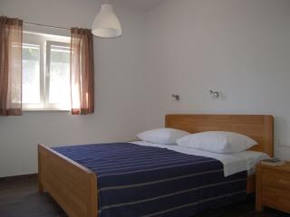 Apartment in Veli Rat with roof terrace - Veli Rat - 4