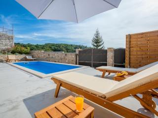 Holiday home in Pazin with private pool - Pazin - 1