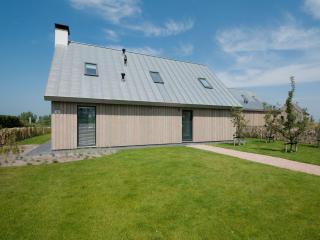 Modern design lodge with combi microwave - Tholen - 0