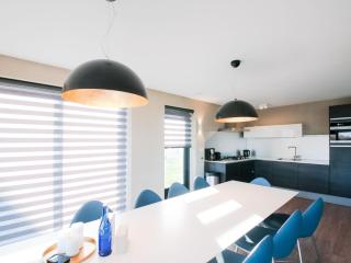 Modern design lodge with combi microwave - Tholen - 6