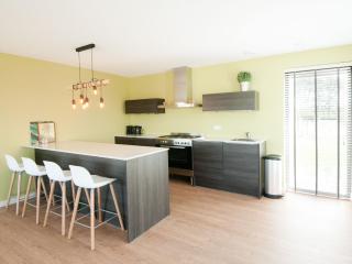 Modern design lodge with combi microwave - Tholen - 5
