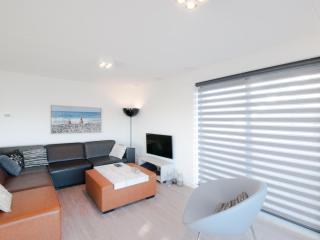 Modern design lodge with combi microwave - Tholen - 8