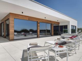 Villa in Vodnjan with Swimming Pool - Vodnjan - 3