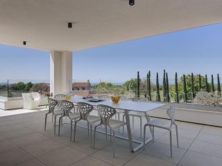 Villa in Vodnjan with Swimming Pool - Vodnjan - 1