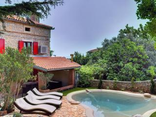 Holiday home in Liznjan with private pool - Ližnjan - 9