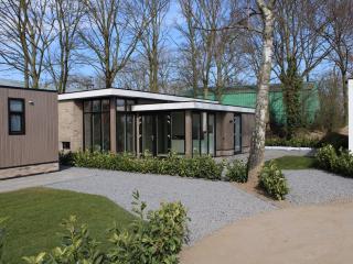 Wellness chalet with a sauna in Lathum - Lathum - 5
