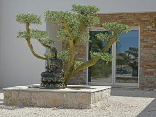 Villa in Montauroux with Pool and Forest Views - Montauroux - 5