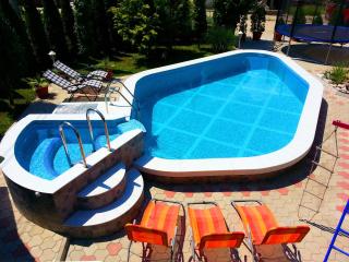 Apartments Nikolić - Soko Banja - 5
