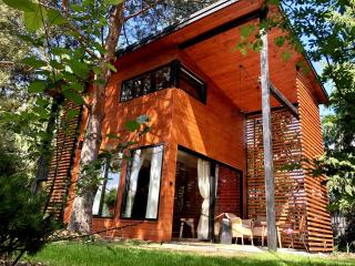 A modern house on the edge of the forest - Długosiodło - 0